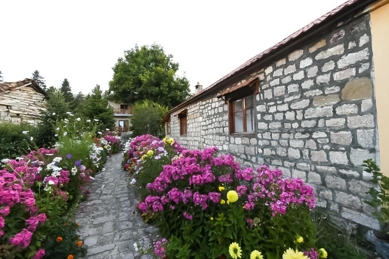 Couette-café Bujtina Shkodrani